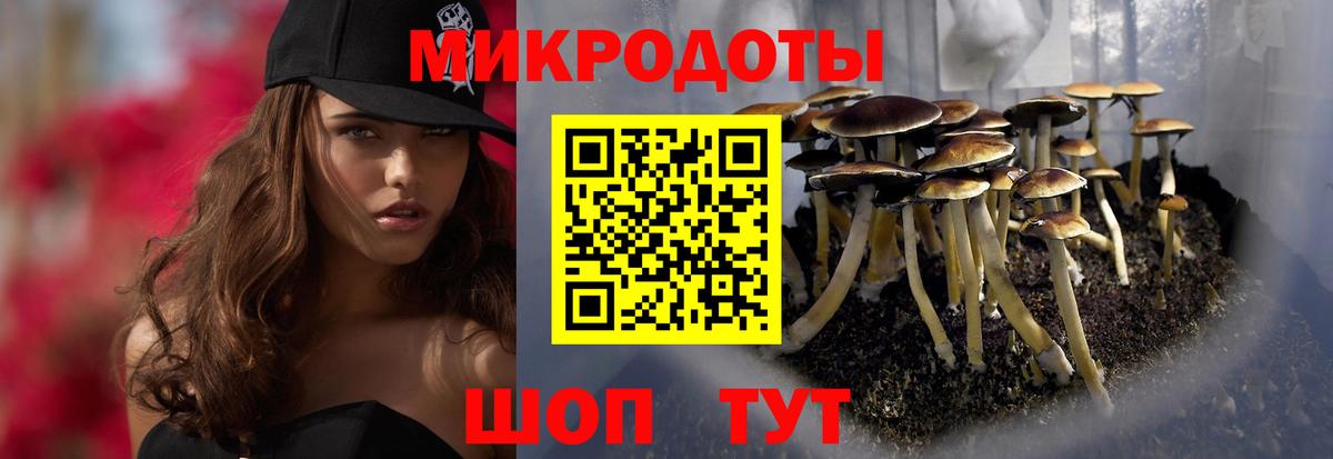 Псилоцибиновые грибы MAGIC MUSHROOMS  Вход с VPN  Чита 